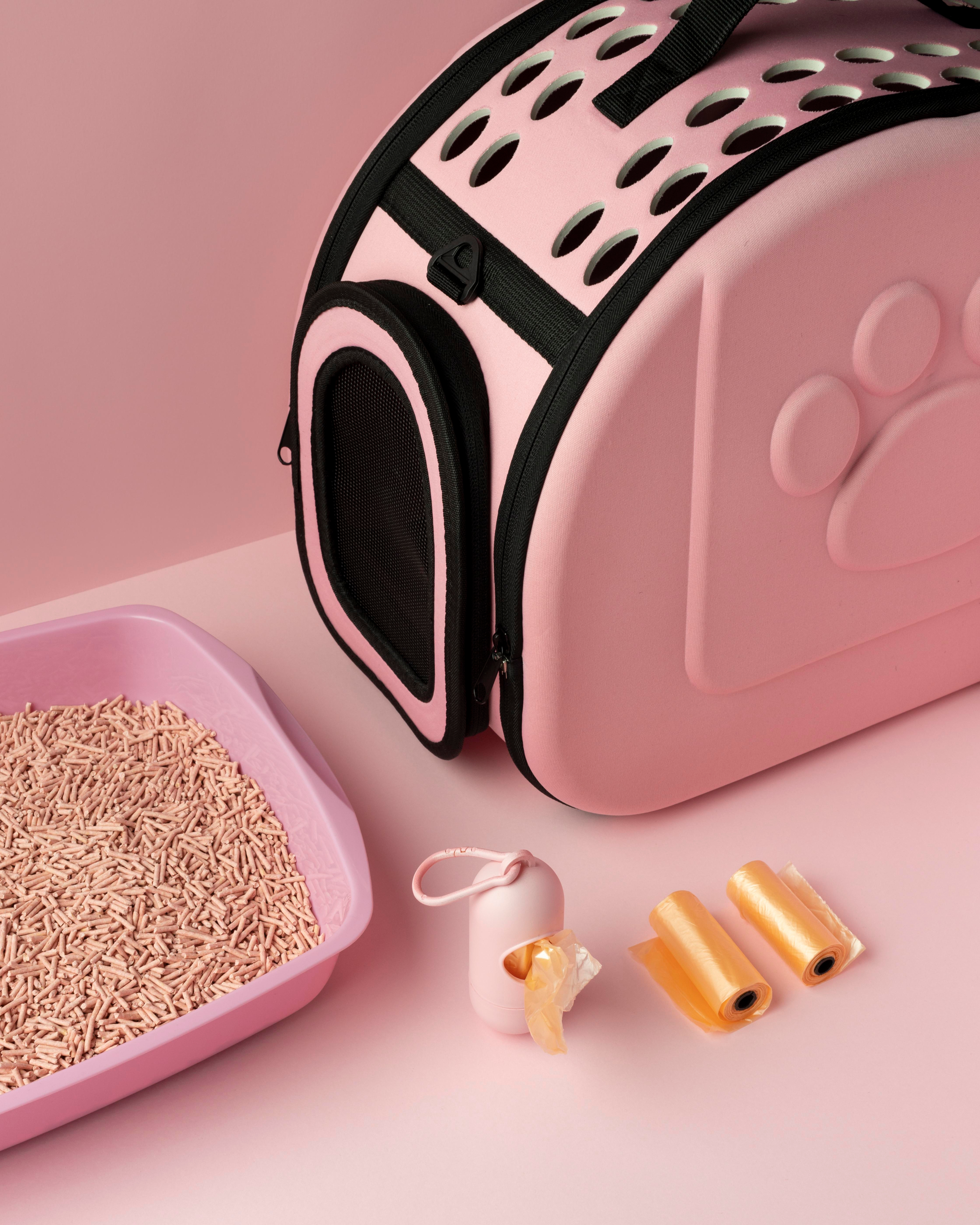 กระเป๋าและรถเข็นสำหรับพาสัตว์เลี้ยงไปเที่ยว