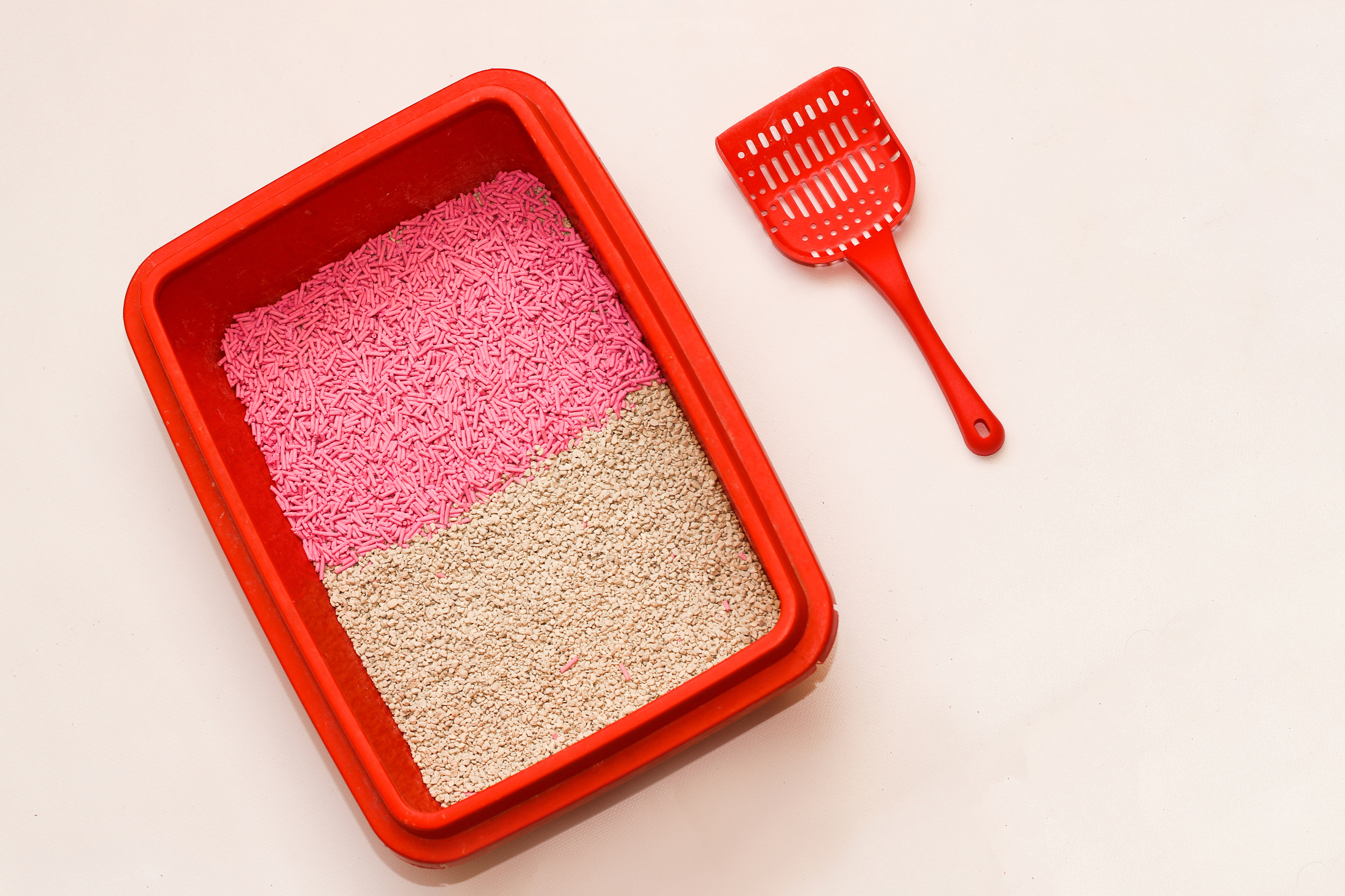 ทรายแมวที่ดูดซับกลิ่นและง่ายต่อการทำความสะอาด